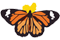 Butterfly3.png